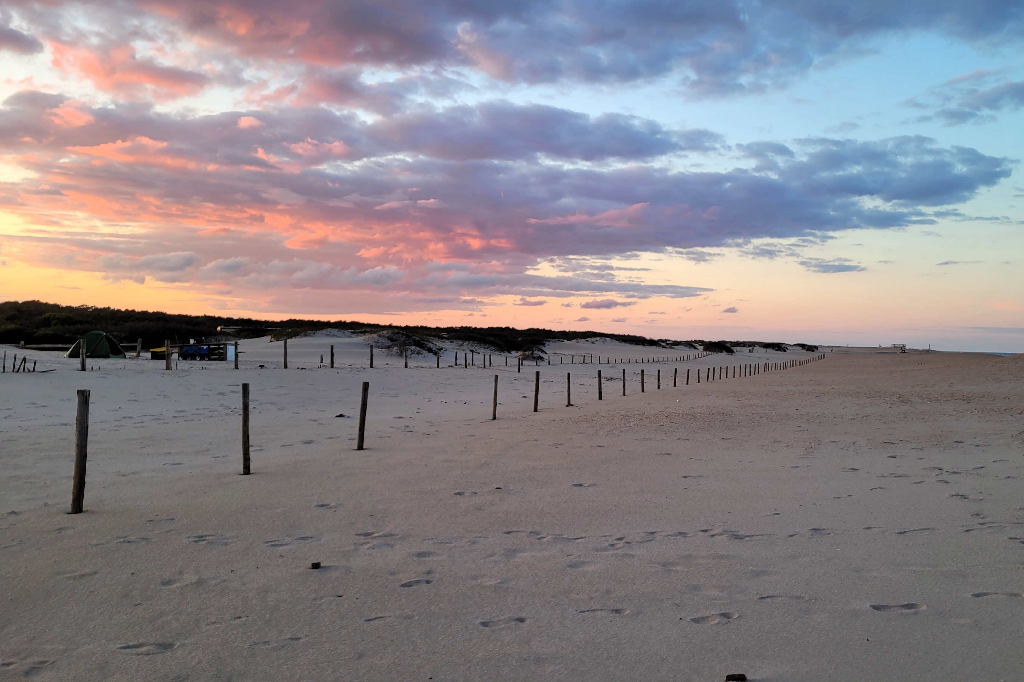 Your Guide for Camping at Assateague Island National Seashore