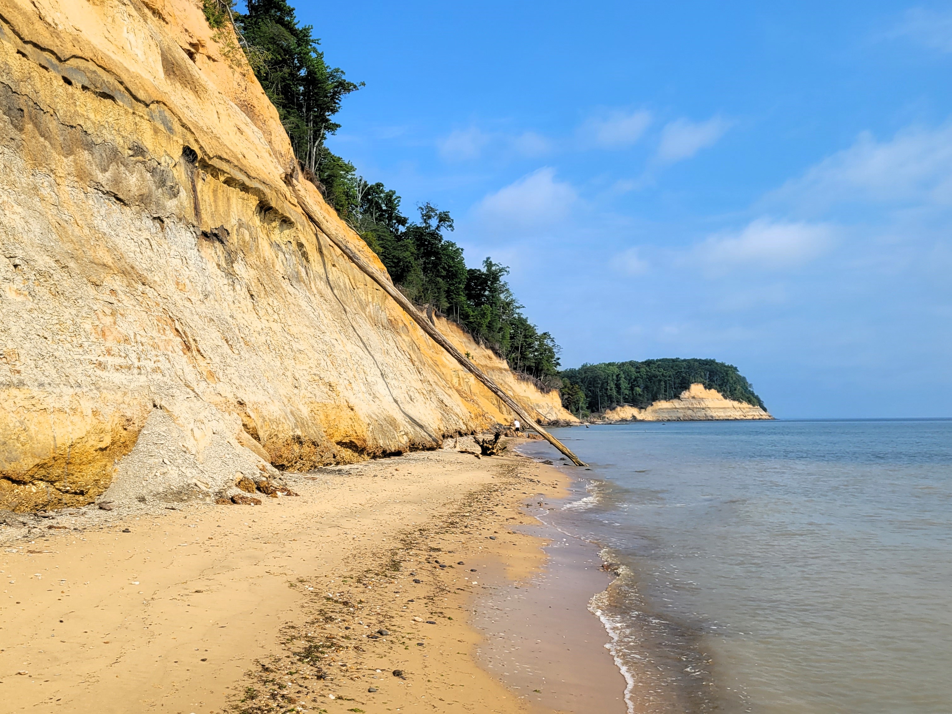 How to Plan the Perfect Day at Calvert Cliffs State Park