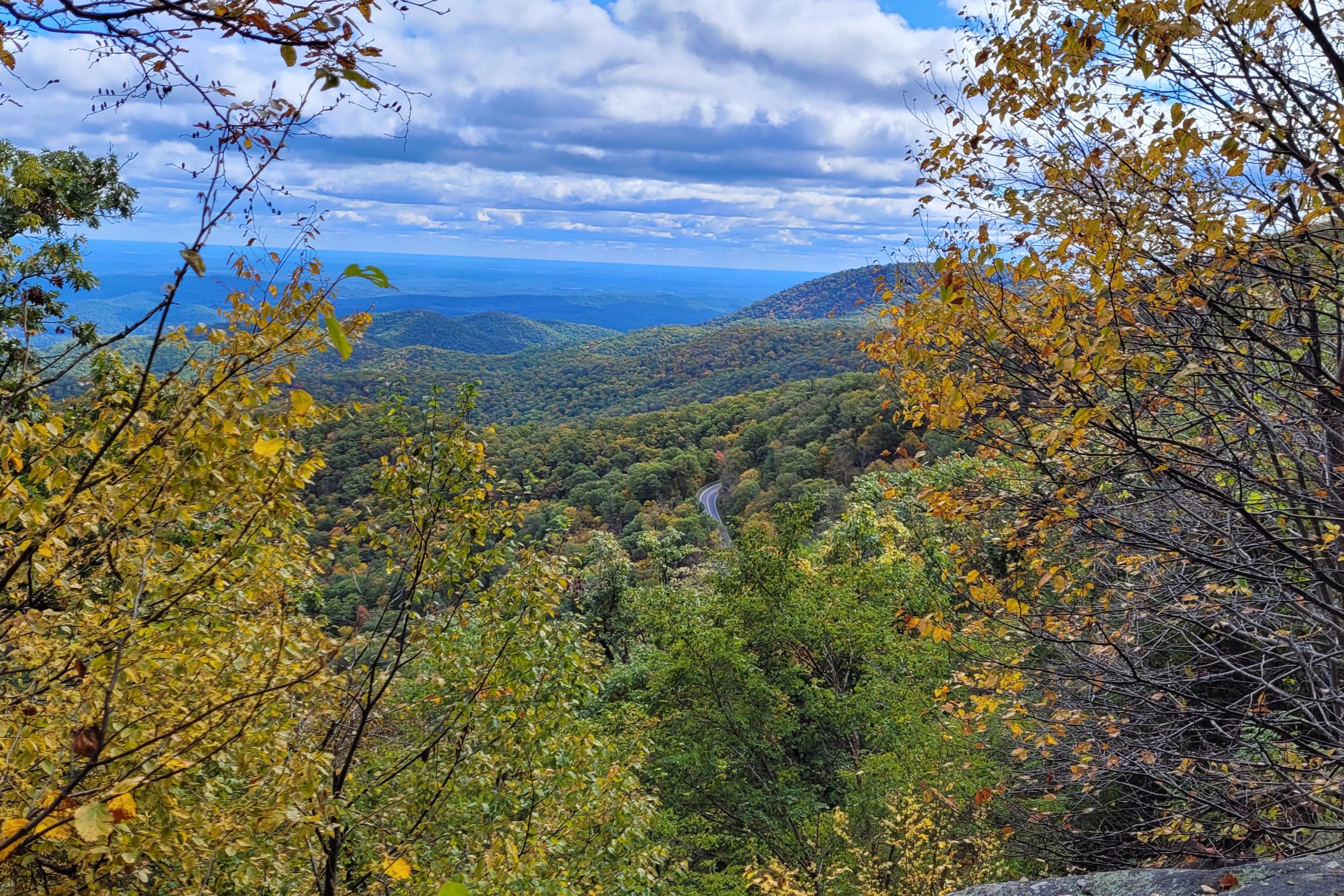 The Best Time to Visit Shenandoah National Park